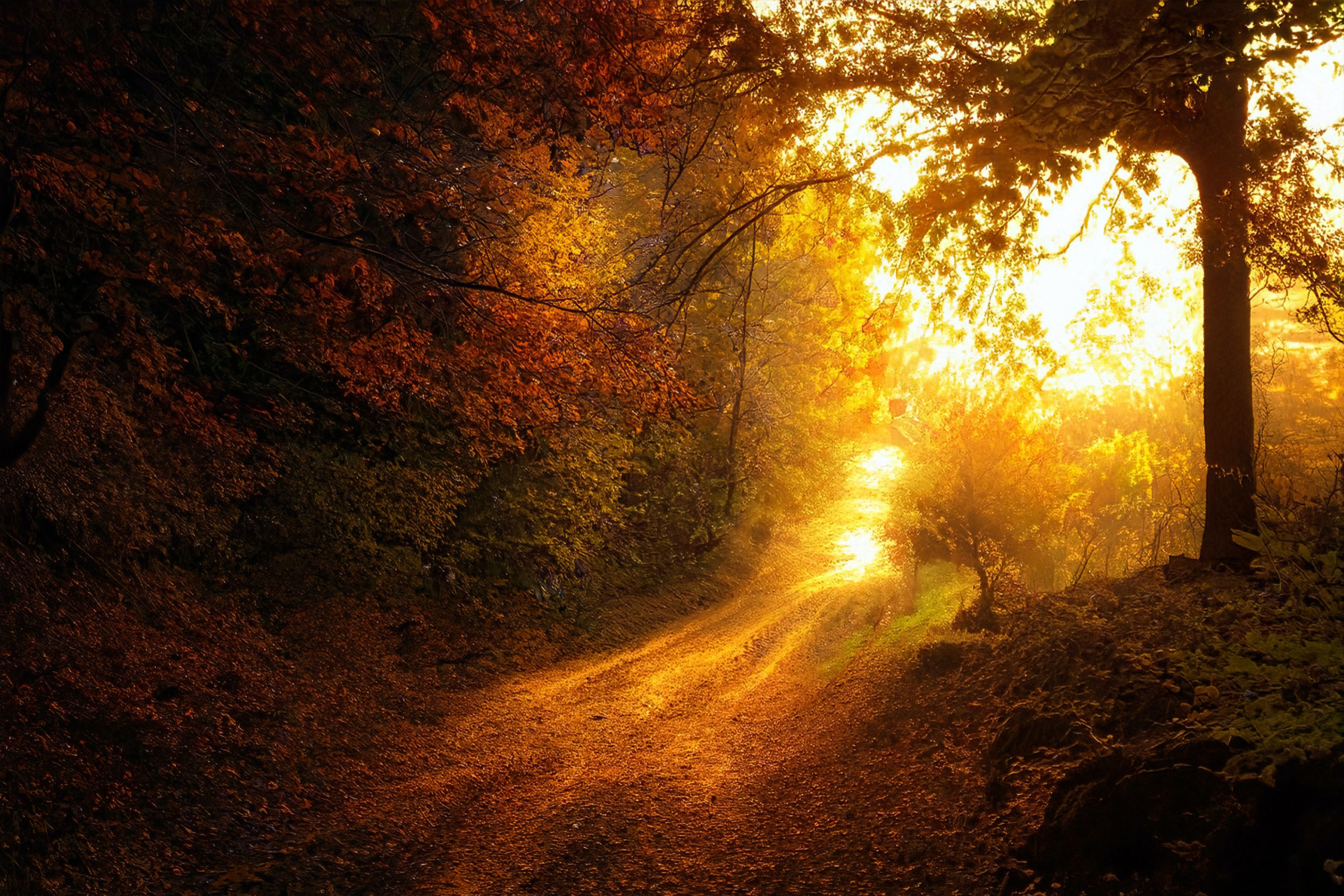 Investeringar Concejo